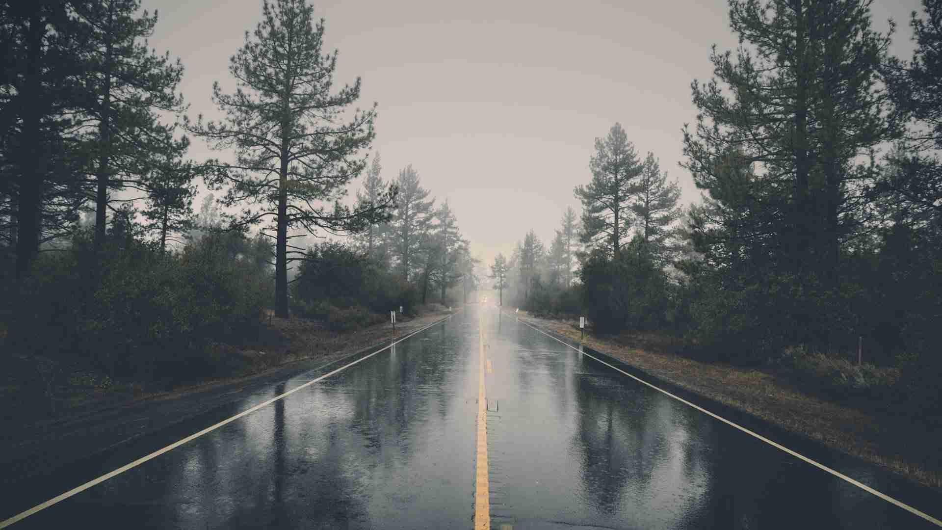 banner1